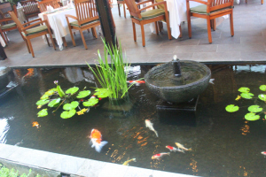 Blissful Bali danyellekelly.com